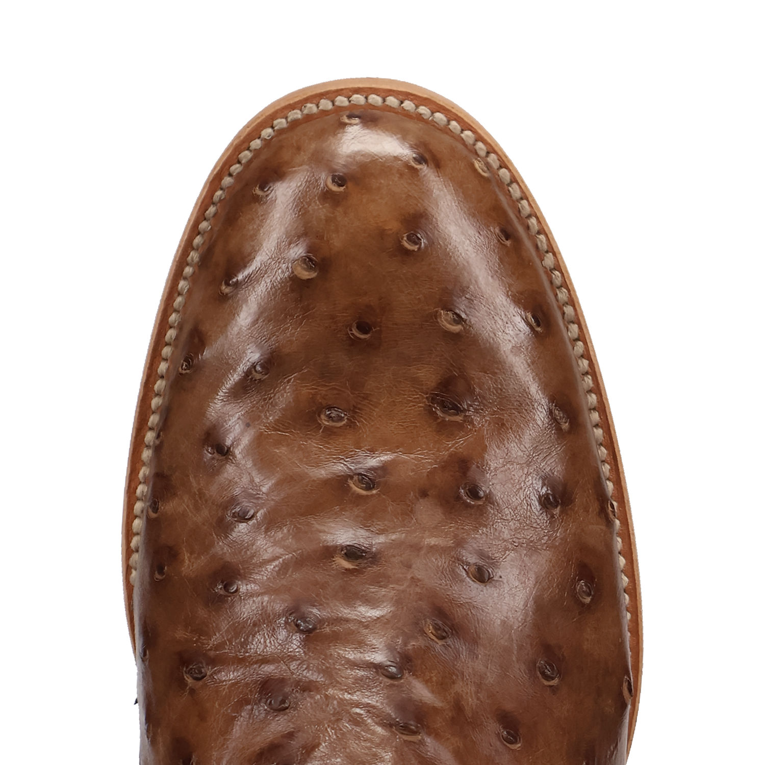 ARDOR FULL QUILL OSTRICH BOOT - 7