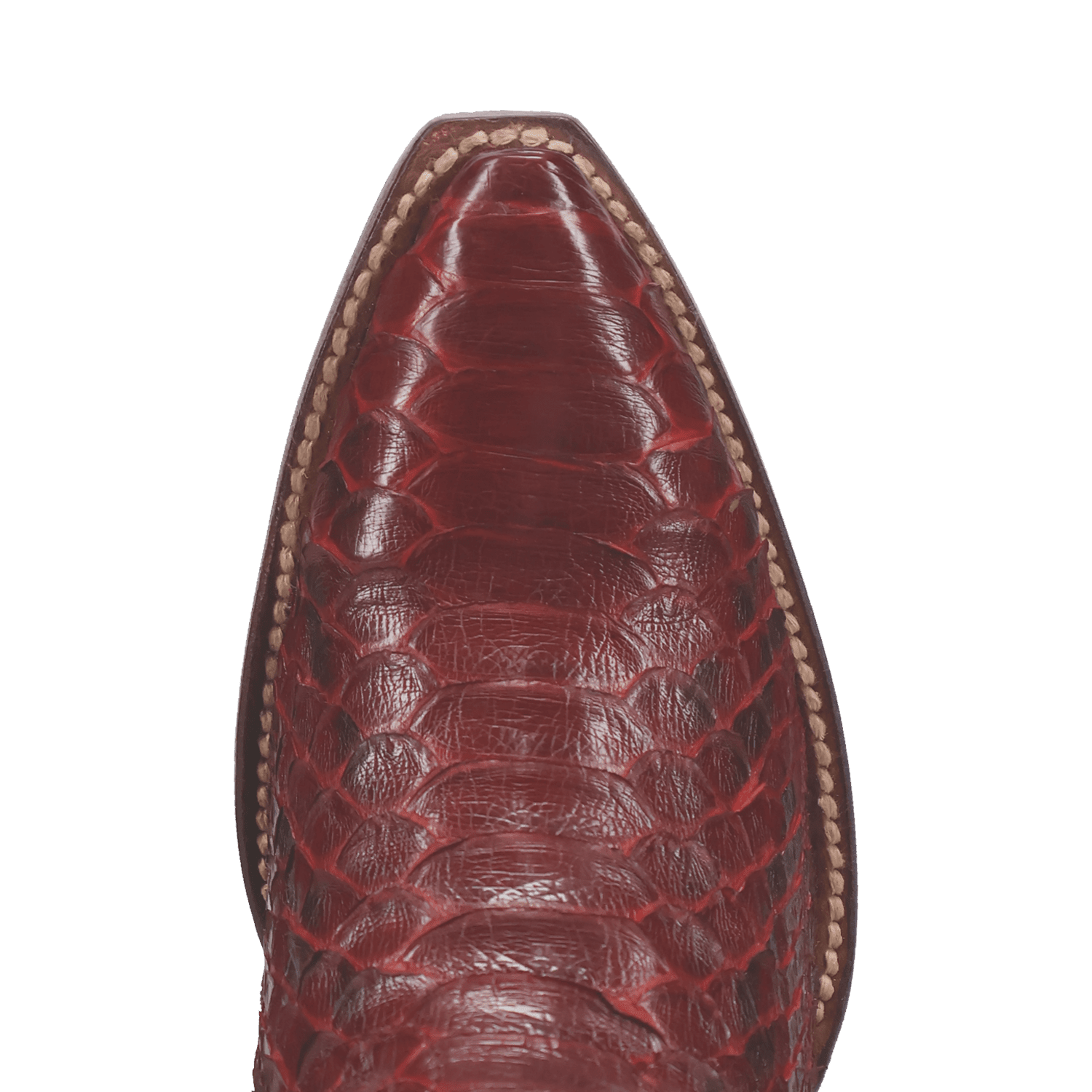 CALVERA PYTHON BOOT - 6
