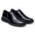 Belvedere MAXIM - Black