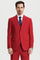 Men's Two Button Vested Stacy Adams Basic Designer Suit in Red