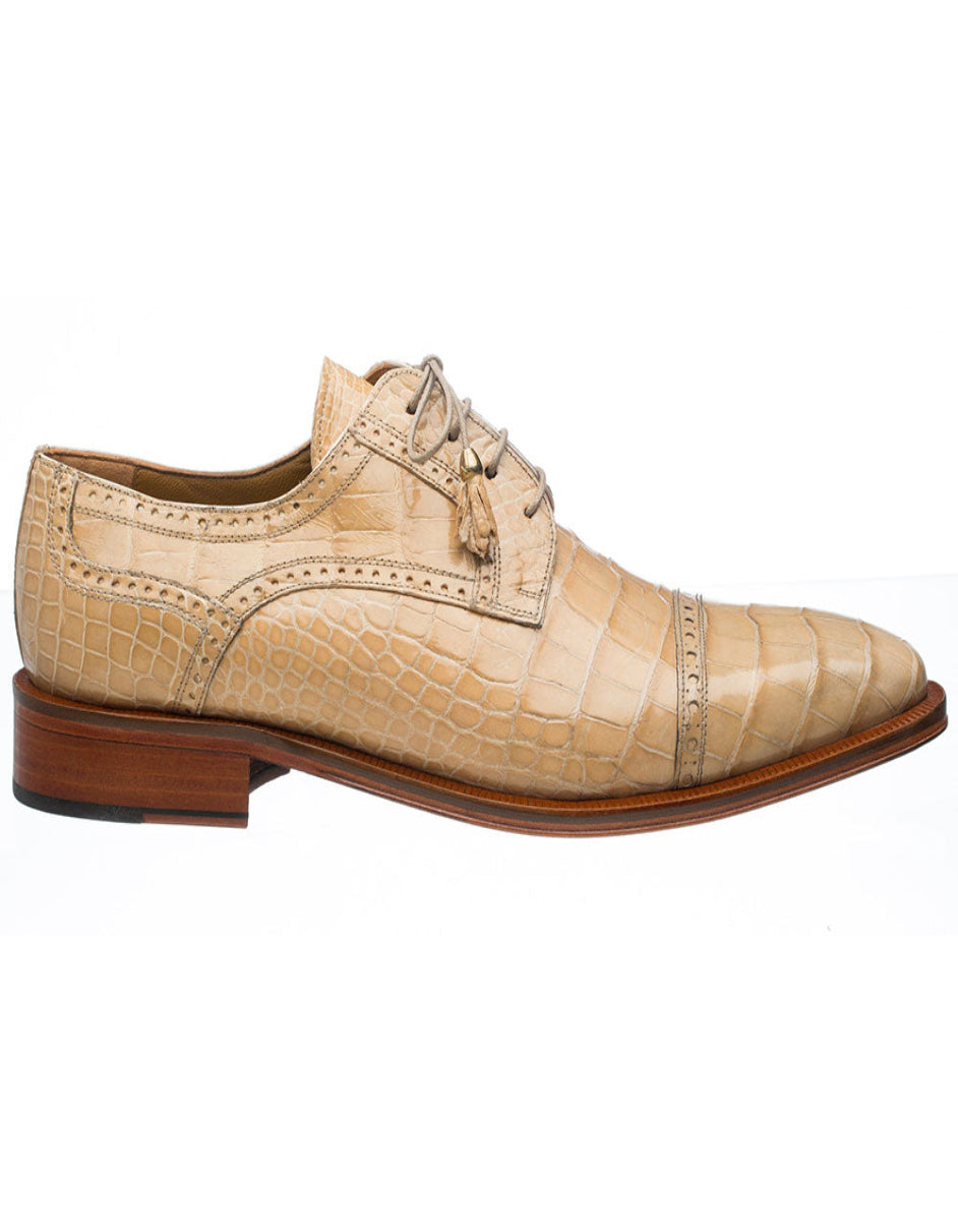 Ferrini Belly Alligator 216 - 10M