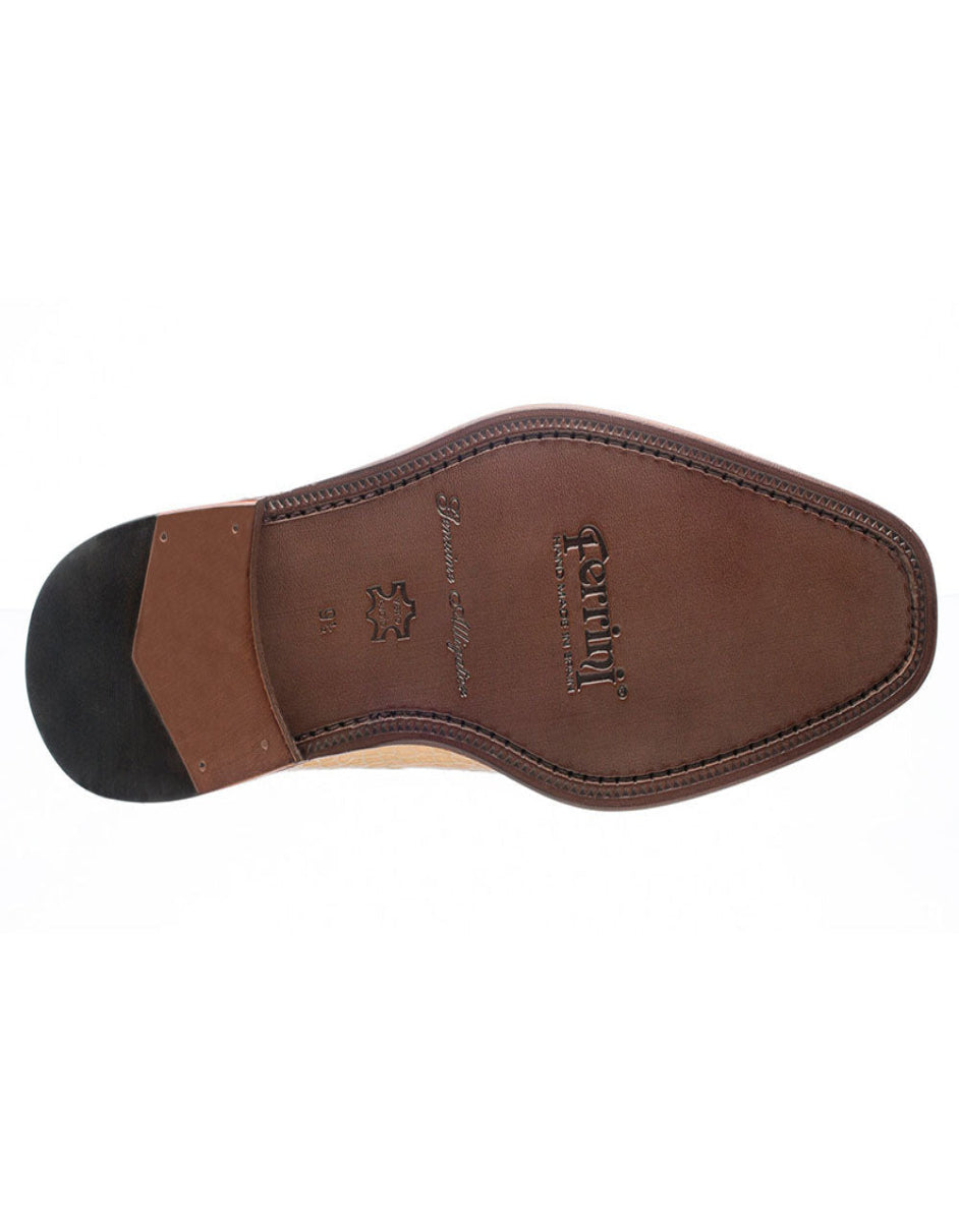 Ferrini Belly Alligator 216 - 10M