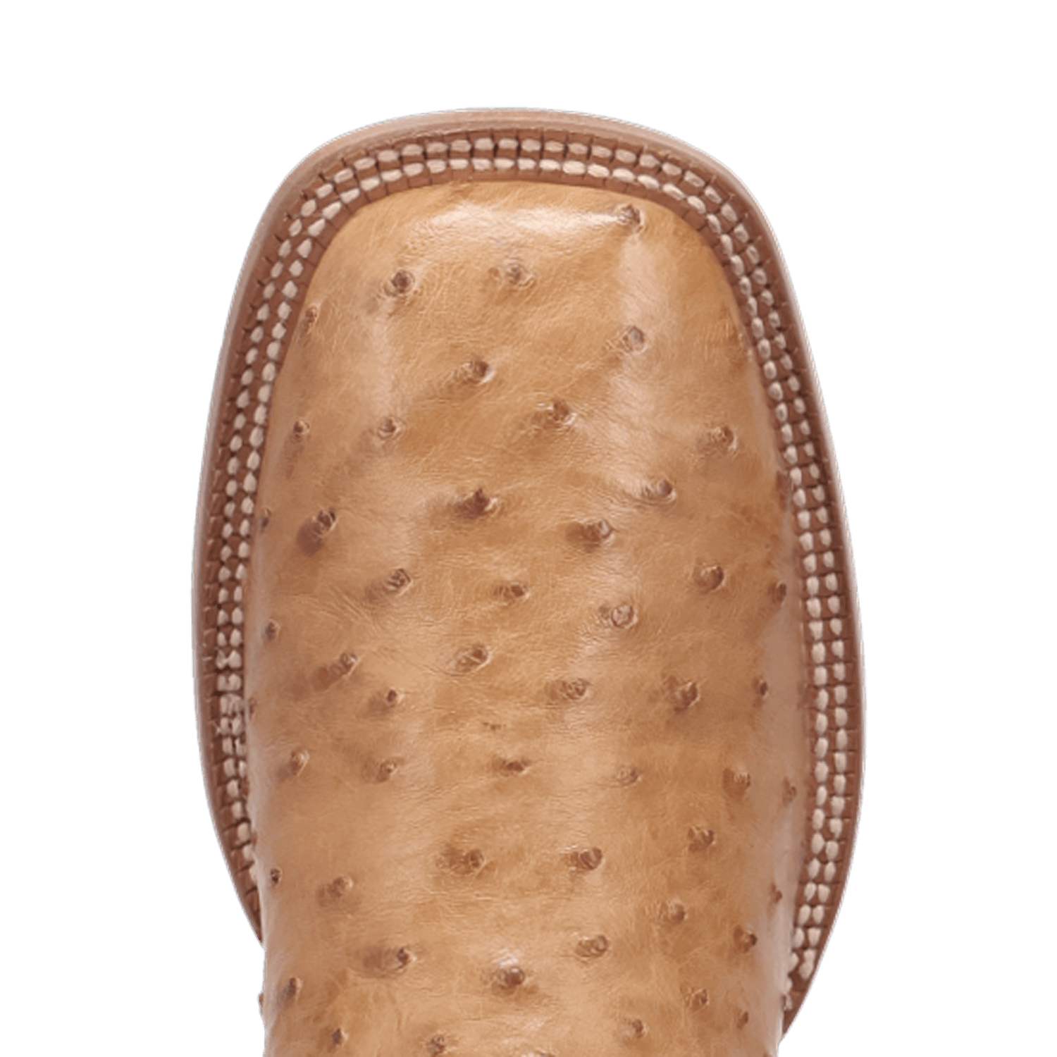 BRANNAN FULL QUILL OSTRICH BOOT - 8