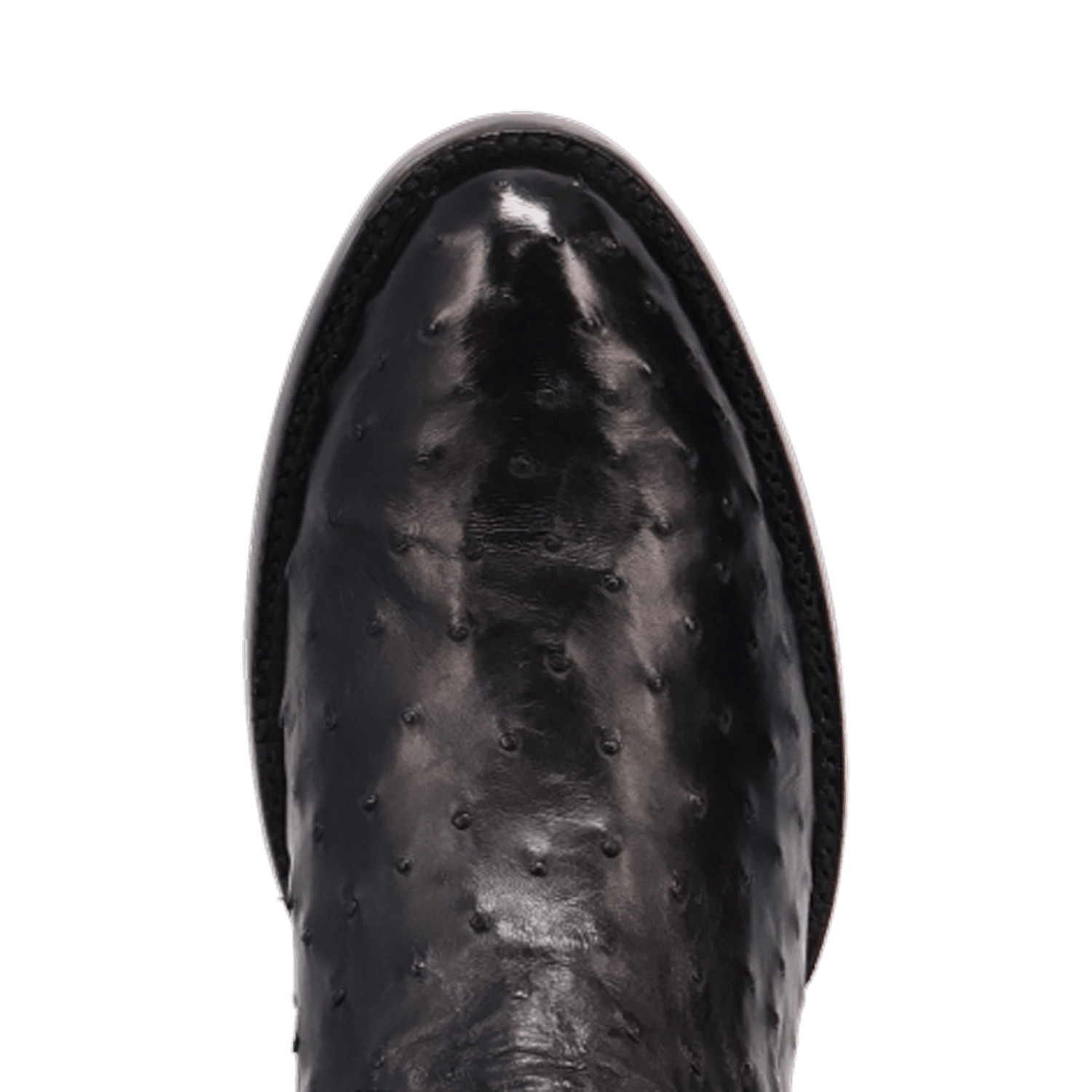 STANFORD FULL QUILL OSTRICH BOOT - 8