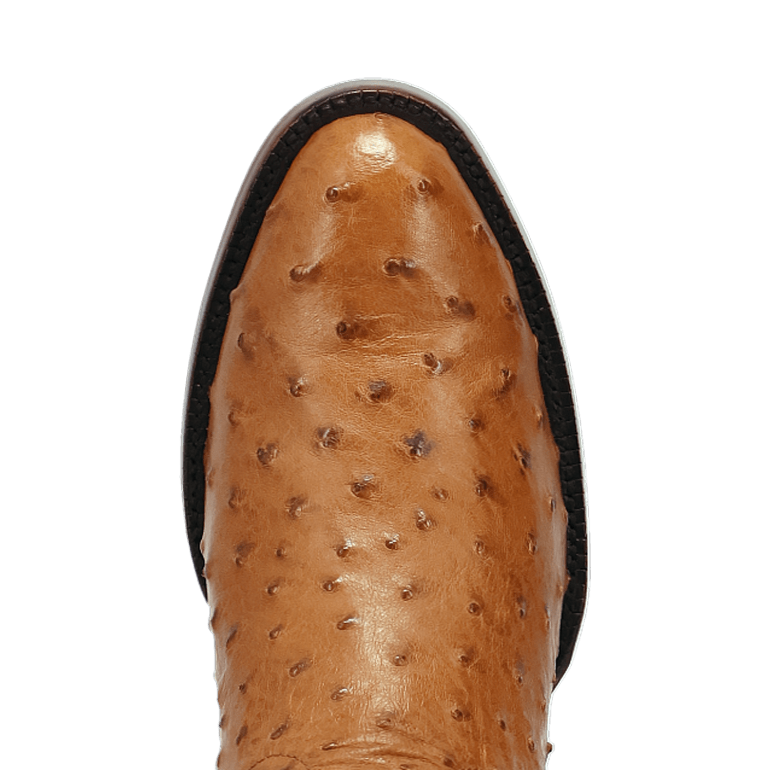 STANFORD FULL QUILL OSTRICH BOOT - 8