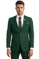 Cheap Priced Suit - Men's Basic 2 Button Slim Fit Wedding Suit green