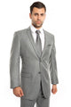 Cheap Priced Suit  - Men's Slim Fit Textured Shiny Sharkskin Light Grey Suit