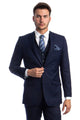 Cheap Priced Suit  - Men's Two Button Basic Hybrid Fit Vested Navy Suit