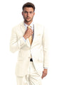 Cheap Priced Suit- Men's Two Button Basic Modern Fit Business Off White Suit