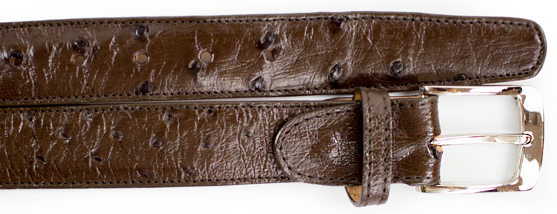 Belvedere Ostrich Quill Belt- Black - 44