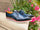 Plain Toe Wing-tip Stitching Blucher style Oxford Carrucci