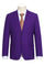 Cheap Priced Suit - Mens Basic Two Button Slim Fit  Purple Suit