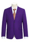 Cheap Priced Suit - Mens Basic Two Button Slim Fit  Purple Suit