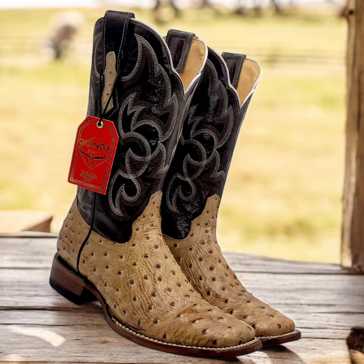 Ostrich Print Cowboy Boots - EE