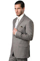 Cheap Priced Suit - Men's Two Button Basic Modern Fit Business Sand Suit