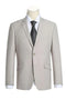 Cheap Priced Suit - Mens Basic Two Button Slim Fit  StoneTan Suit