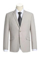 Cheap Priced Suit - Mens Basic Two Button Slim Fit  StoneTan Suit