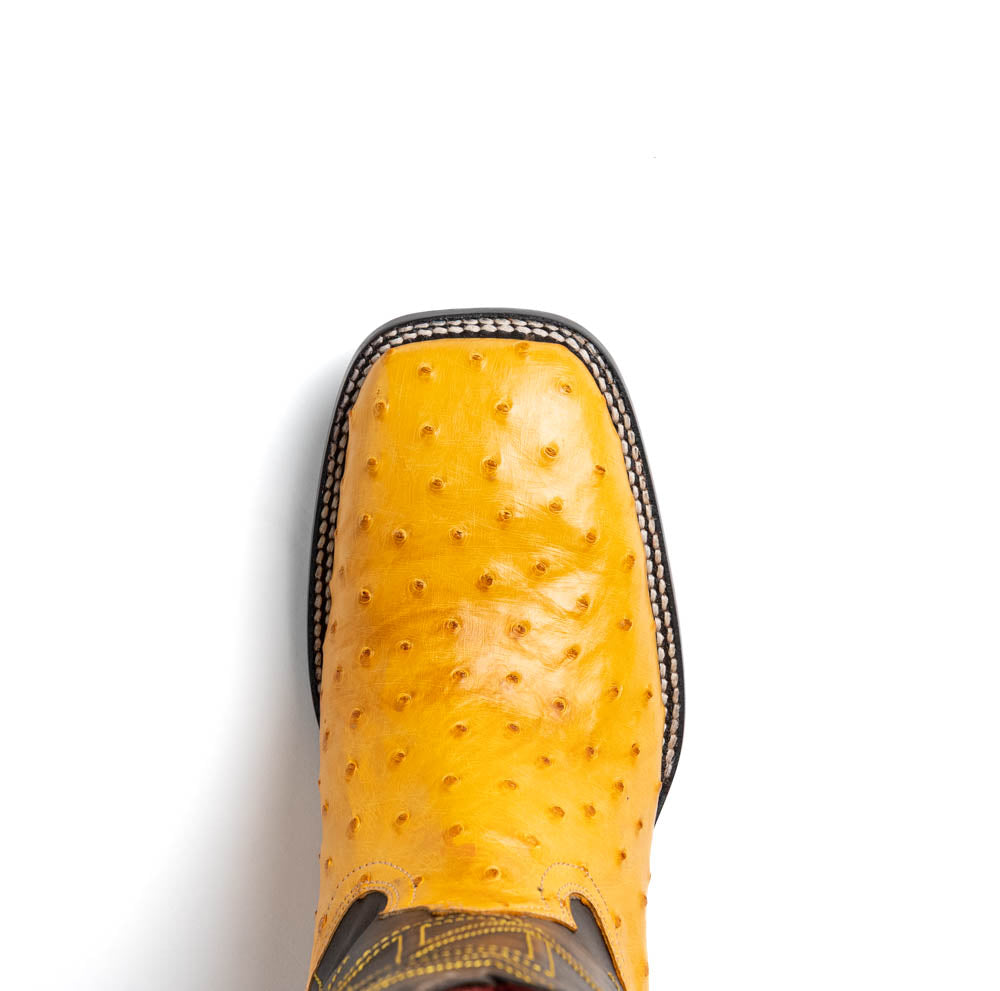 Marco Di Milano Alabama Buttercup - 8.5 USA