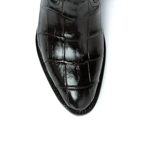 Ferrini Stallion - American Alligator