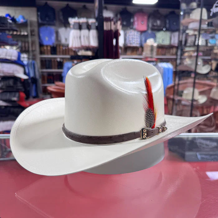 Sombrero Genuine Ostrich 10,000x Cowboy Hat - One size