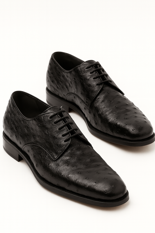 Los Altos Black Full Quill Ostrich Bicycle Toe Men's Lace Up Shoes