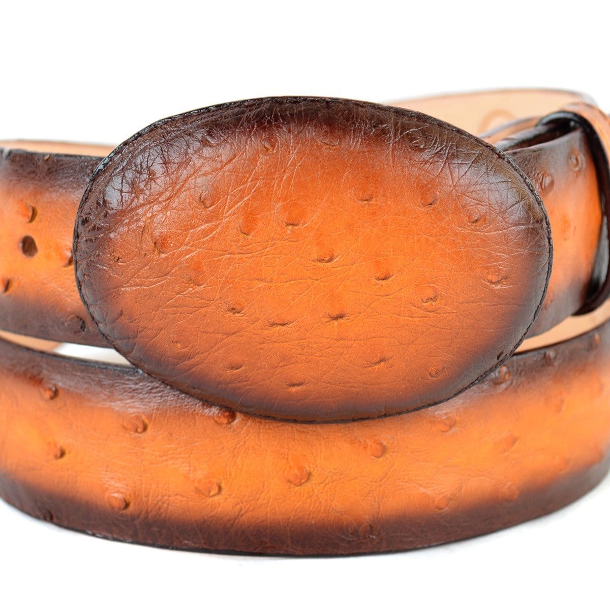 Men's Los altos Ostrich Cowboy Belt C11U0301 - 32
