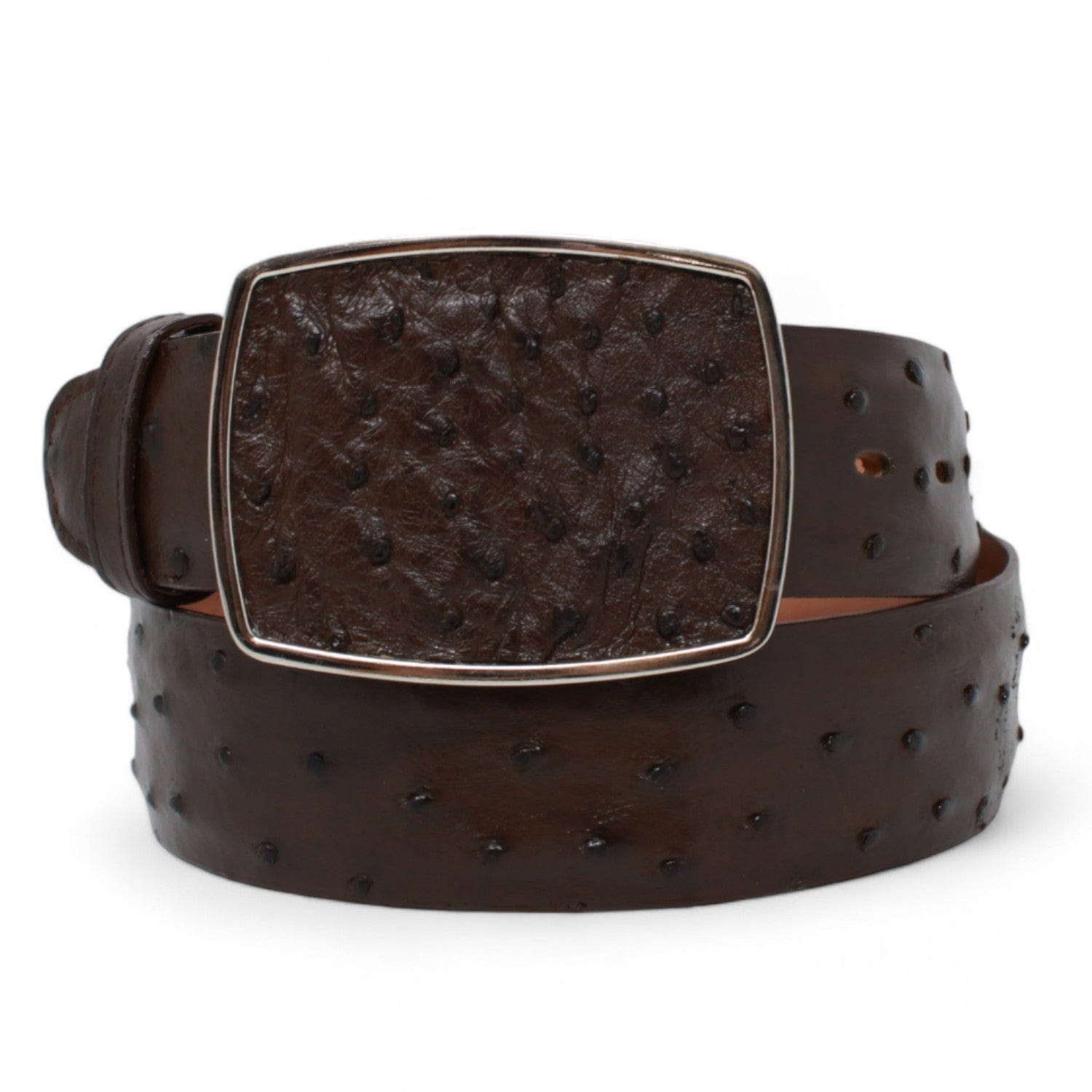 Men's Los altos Ostrich Cowboy Belt C11A03 - 32
