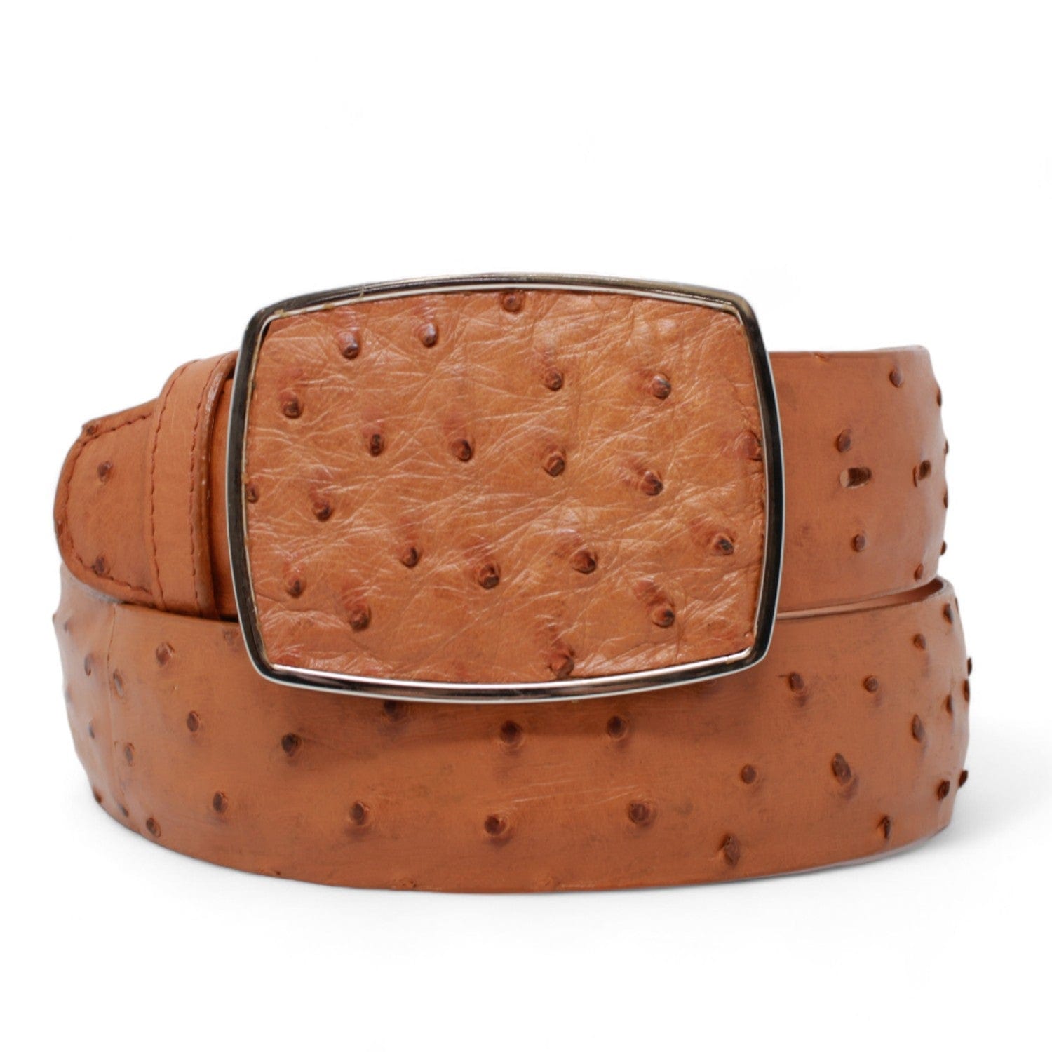 Men's Los altos Ostrich Cowboy Belt C11A03 - 32