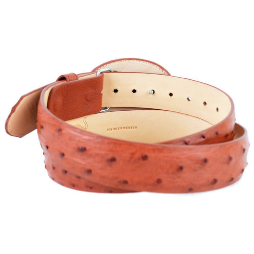 Men's Los altos Ostrich Cowboy Belt C11U0303