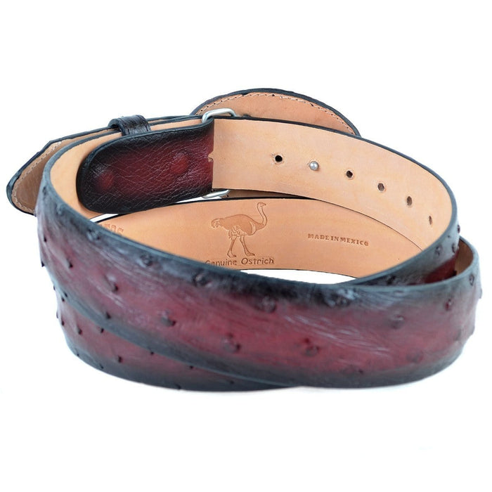 Men's Los altos Ostrich Cowboy Belt C11U0343