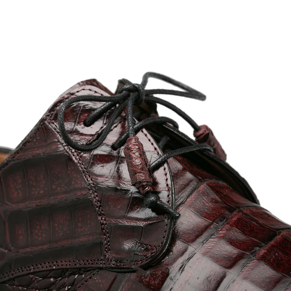Mezlan Cratos Crocodile Derby Burgundy (50070-F) - Medium