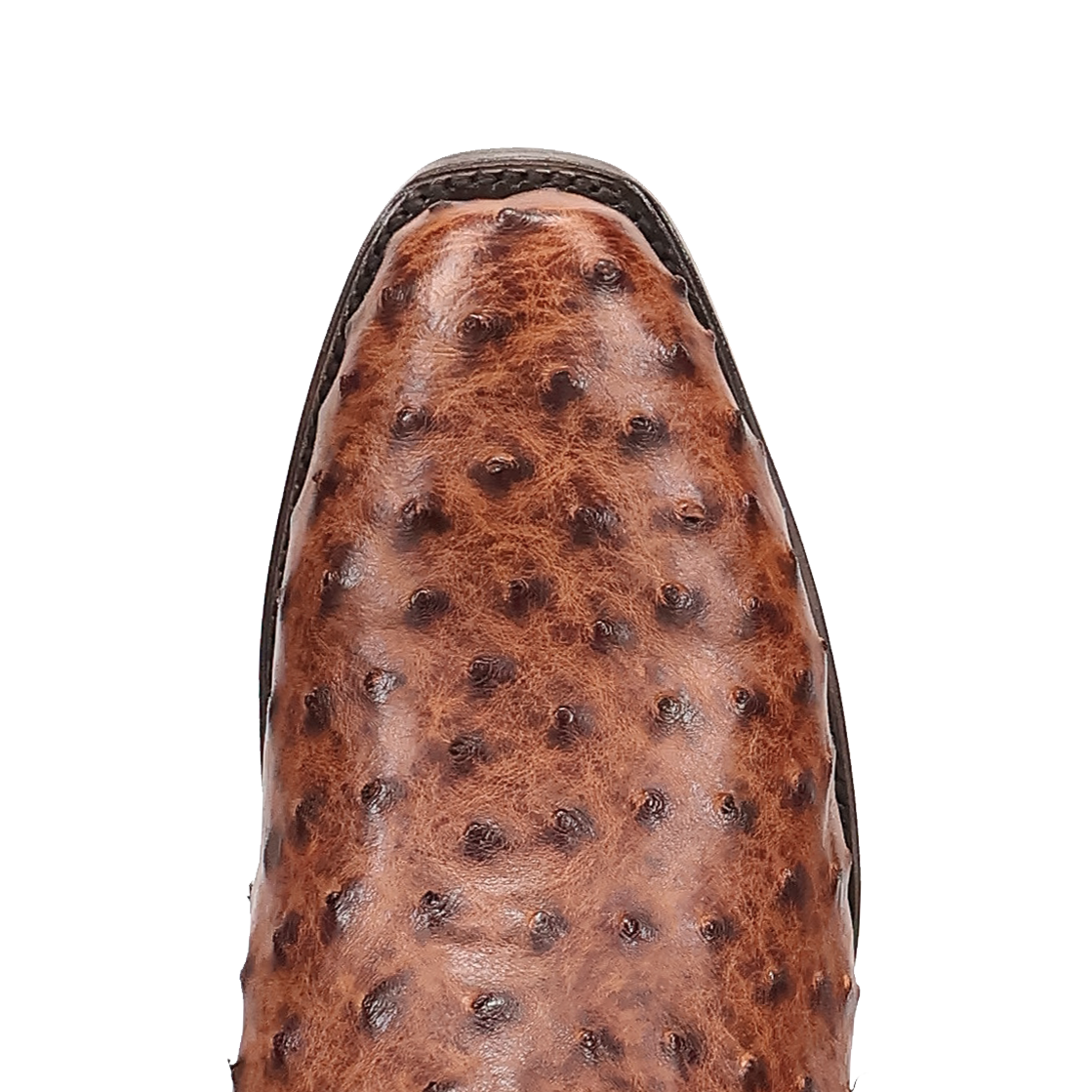 MARCO FULL QUILL OSTRICH BOOT - 7