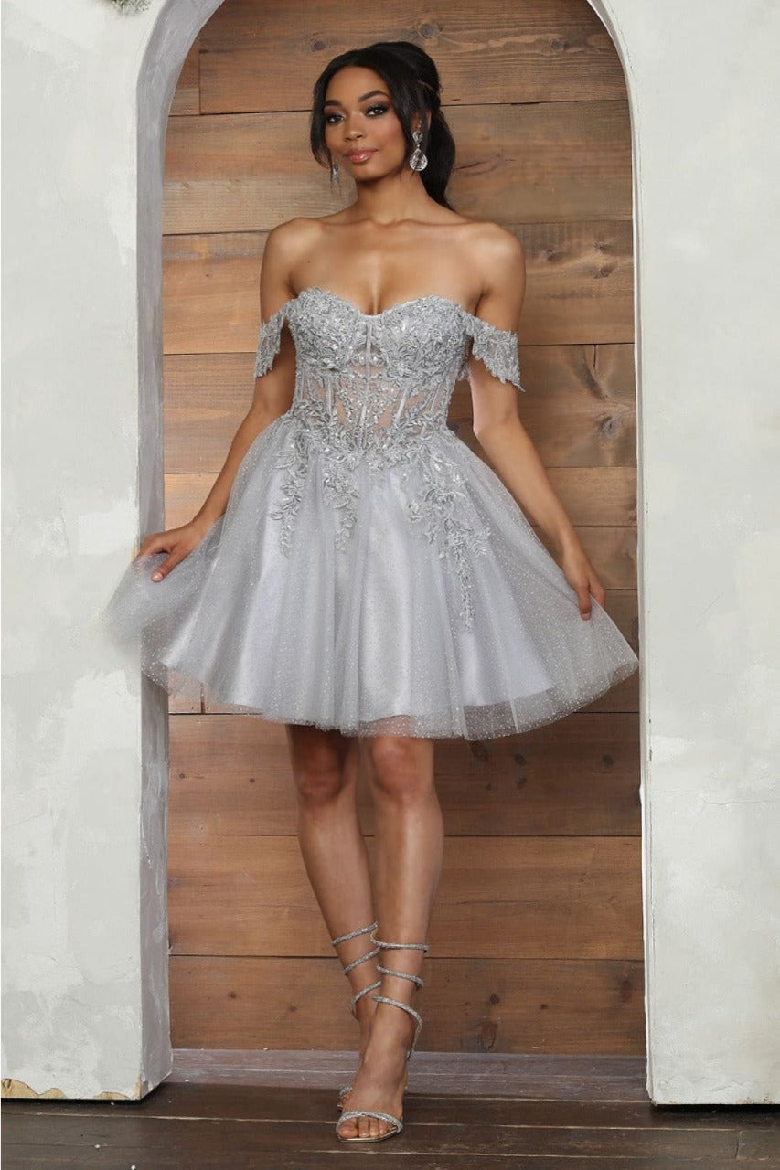 Quince Dama Dresses - Short Quinceanera Dresses in Color Silver - 2
