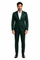 Green velvet suit Many Styles & Brands $99UP Mens Green Velvet Blazer Mens 2 Button Velvet Velour Men's Blazer Jacket Hunter ~ Olive Green Sportcoat Jacket