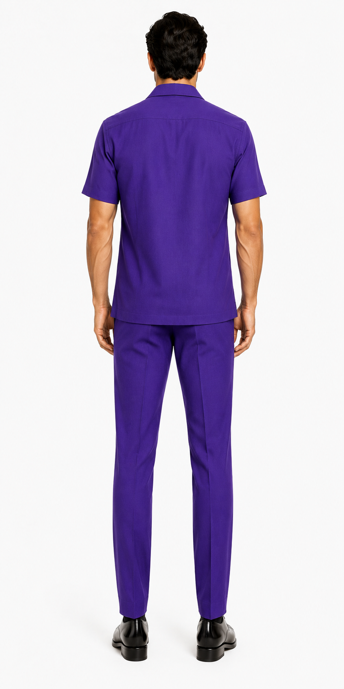 Mens Walking Suit in Color purple leisure suit casual Matching Shirt and Pants $99