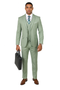 Sage Green Suits -  Light Green Suit - Summer Color Suit-New Designer Collection