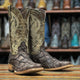 Men's Caiman Belly Print Dubai Toe Leather Boots - Chocolate