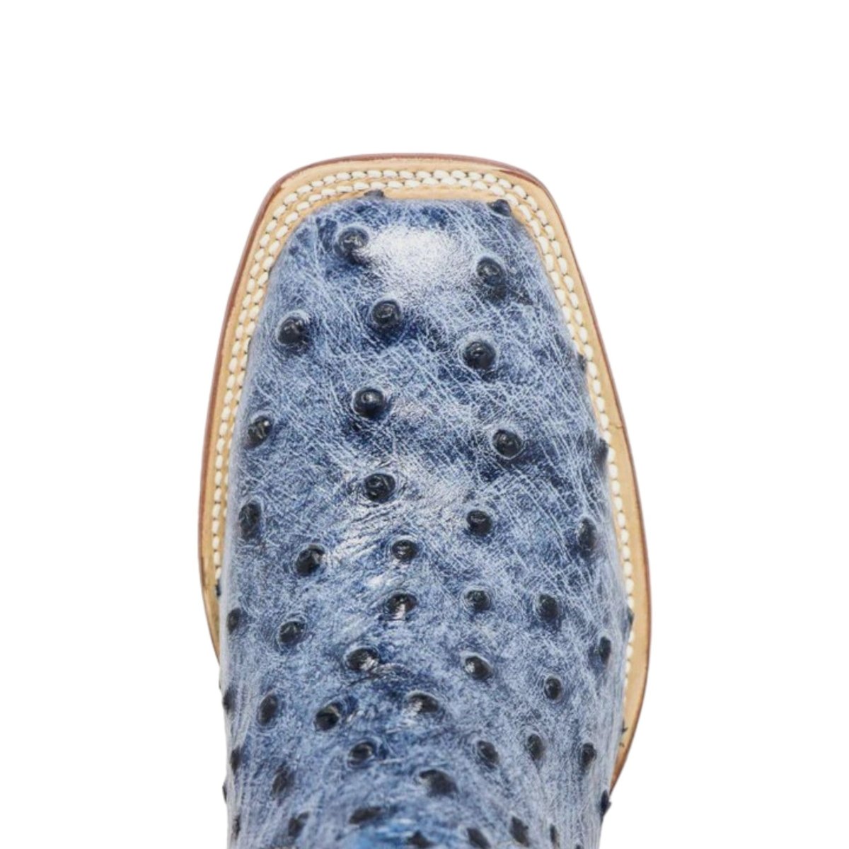 Tanner Mark Women's 'Bluebonnet' Ostrich Print Square Toe Boots Blue Denim TML207061 - 5