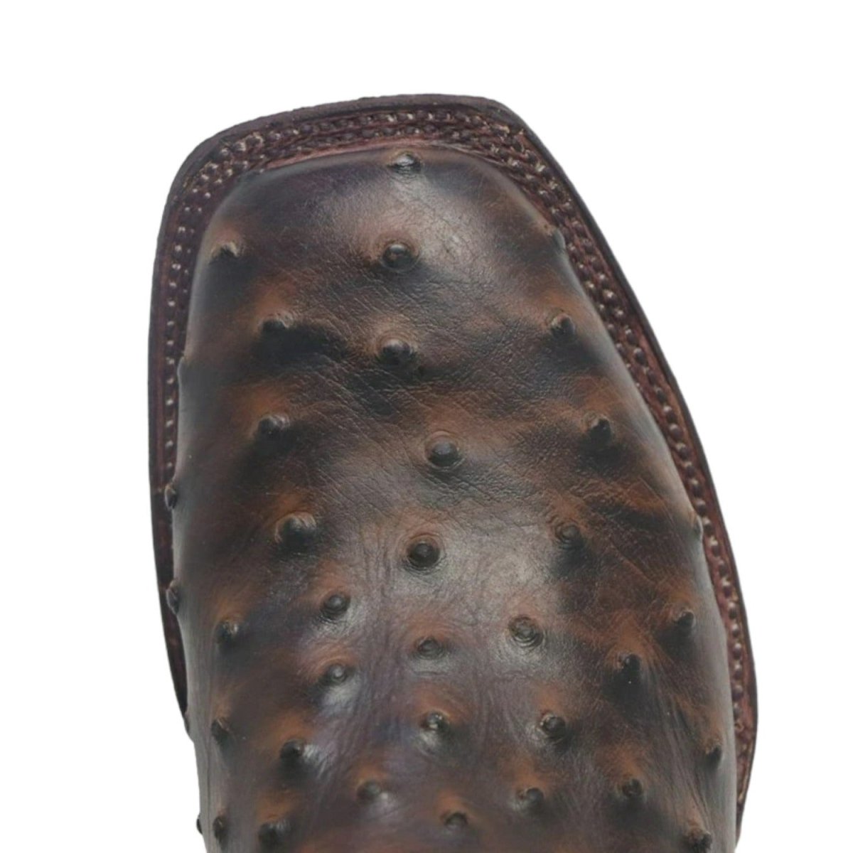 Tanner Mark Women's 'Brooke' Ostrich Print Square Toe Boots Chocolate - 5