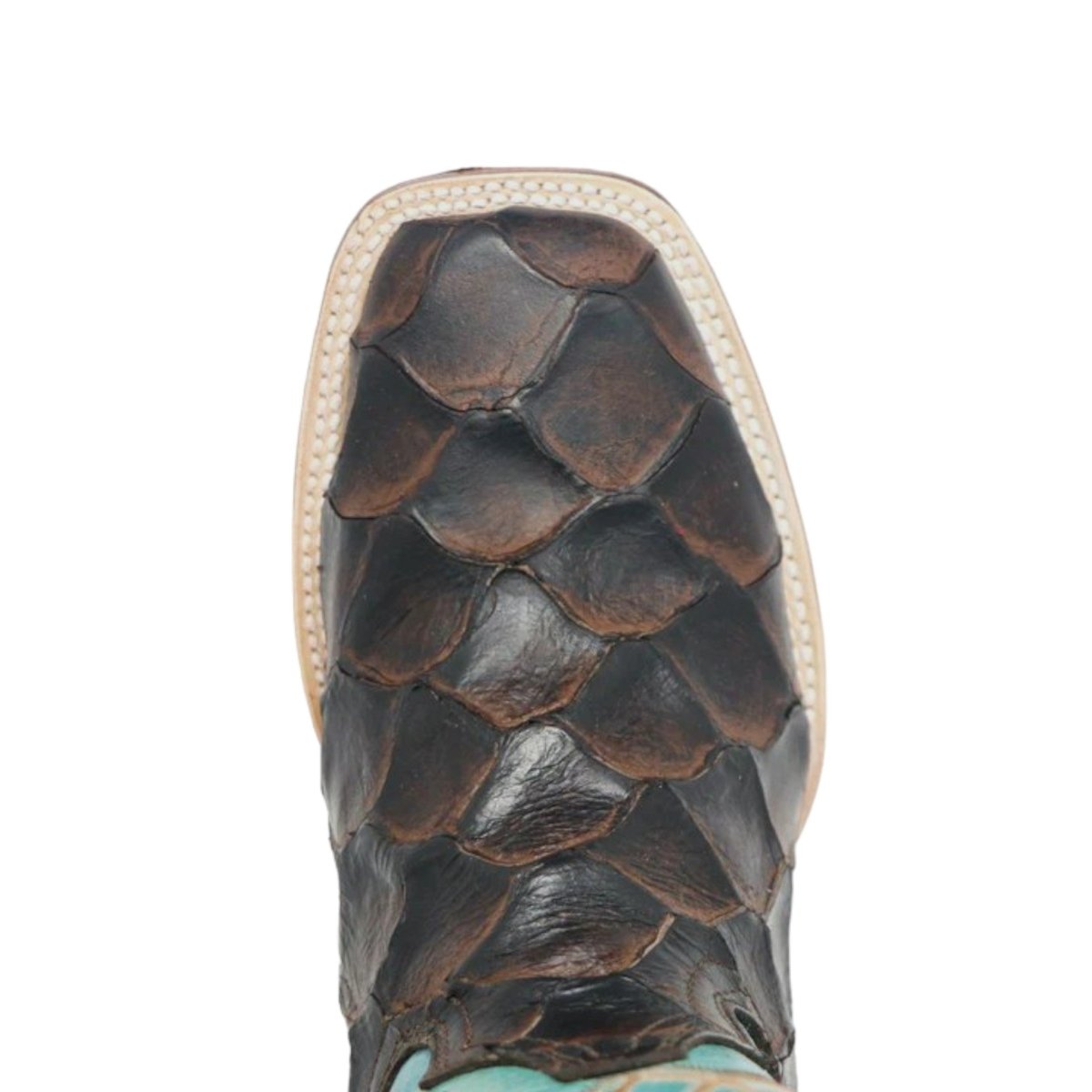 Tanner Mark Women's 'Kaci Mae' Print Monster Fish Square Toe Boots Choco - 5