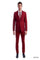 Tazio Men's Executive 2-Piece Suit - Bold Colors
