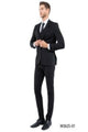 Zegarie Slim Fit 3-Pc black Suit (Solid Colors)